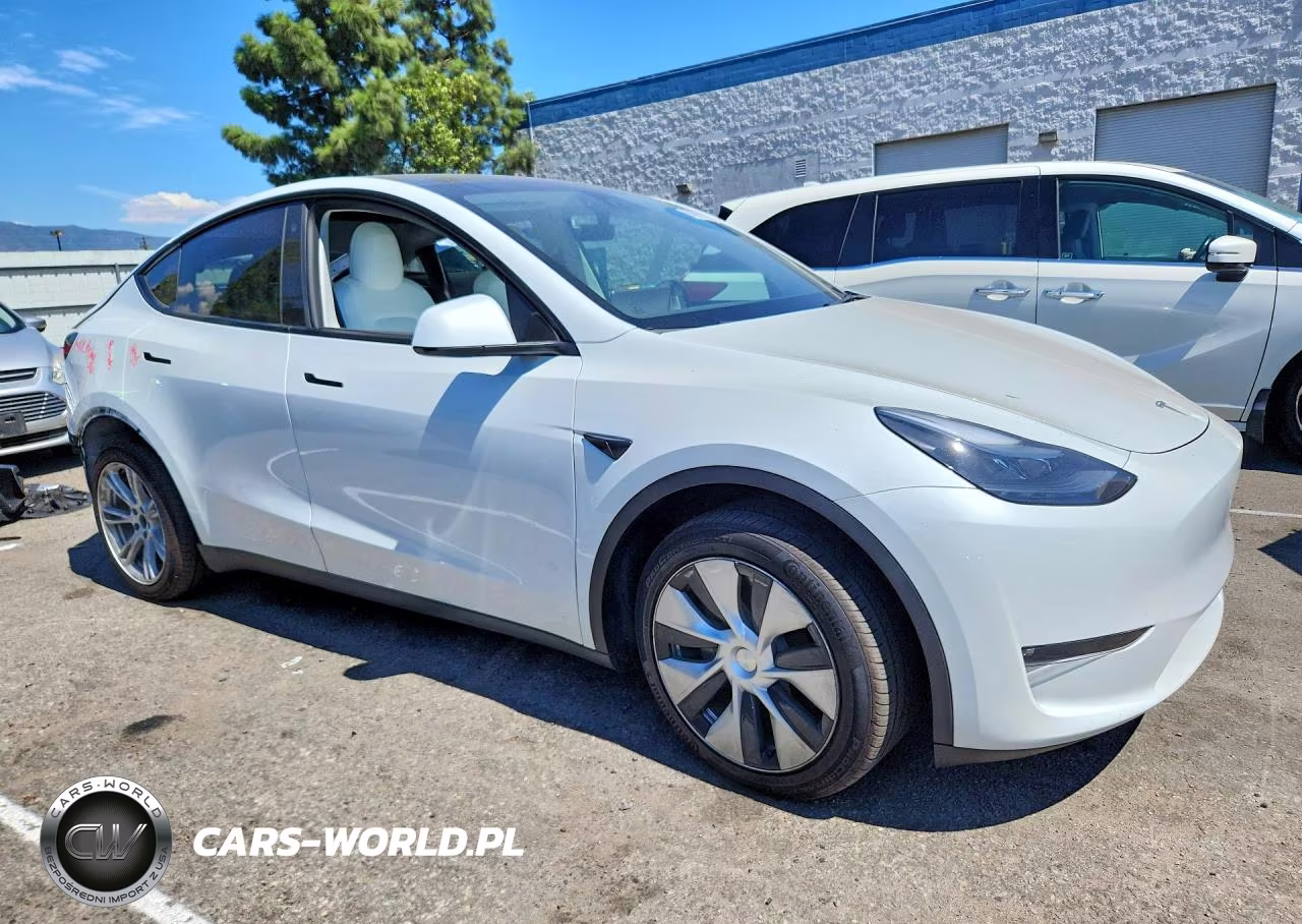 2023 Tesla Model Y VIN:7SAYGDEE3PF635674 - 4