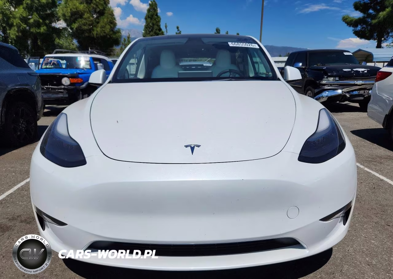 2023 Tesla Model Y VIN:7SAYGDEE3PF635674 - 5