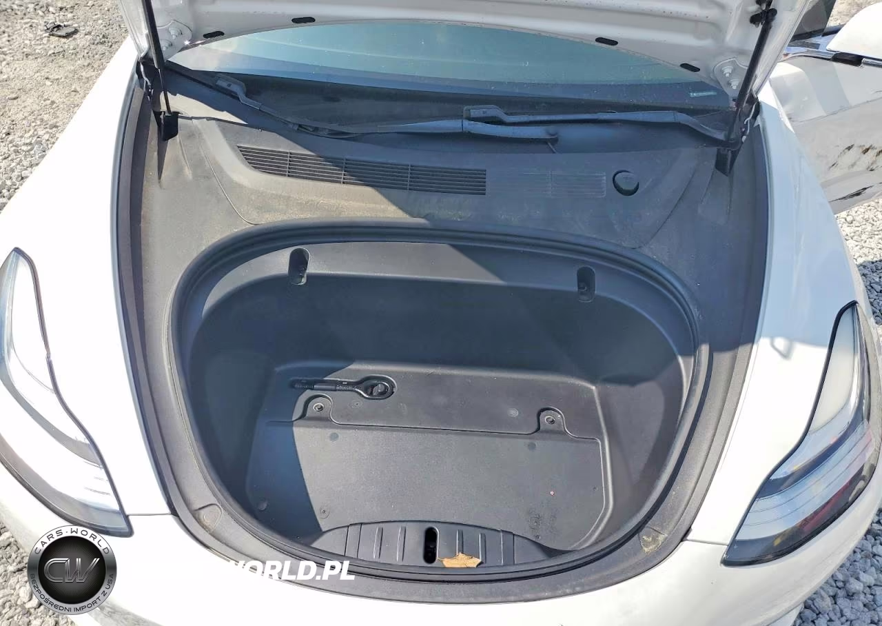 2020 Tesla Model 3 VIN:5YJ3E1EA6LF738042 - 11