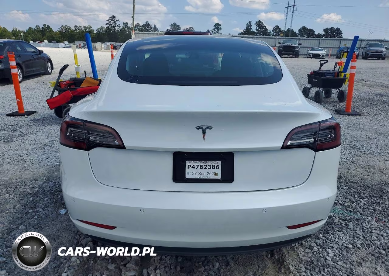 2020 Tesla Model 3 VIN:5YJ3E1EA6LF738042 - 6