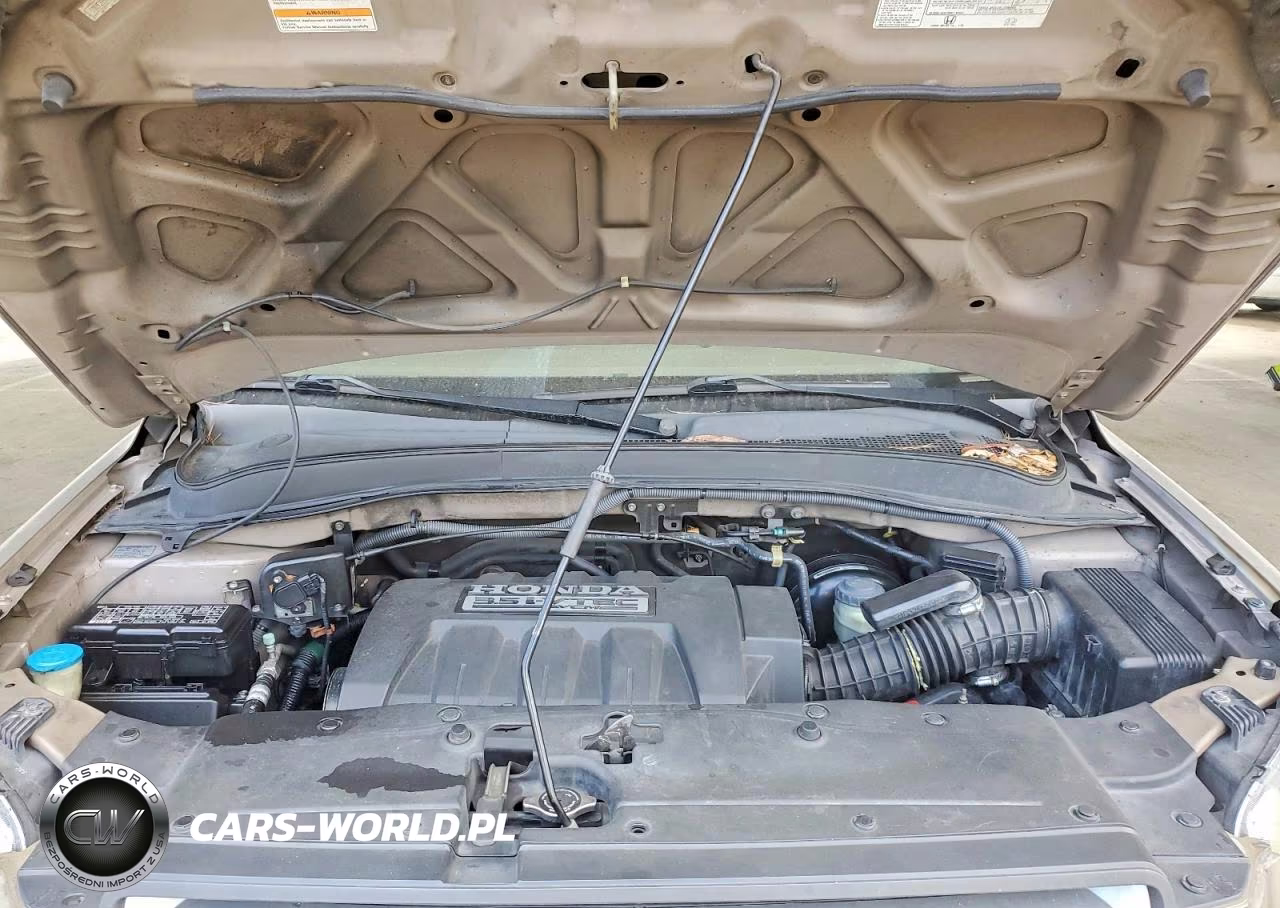 2007 Honda Pilot Exl VIN:5FNYF285X7B023021 - 12