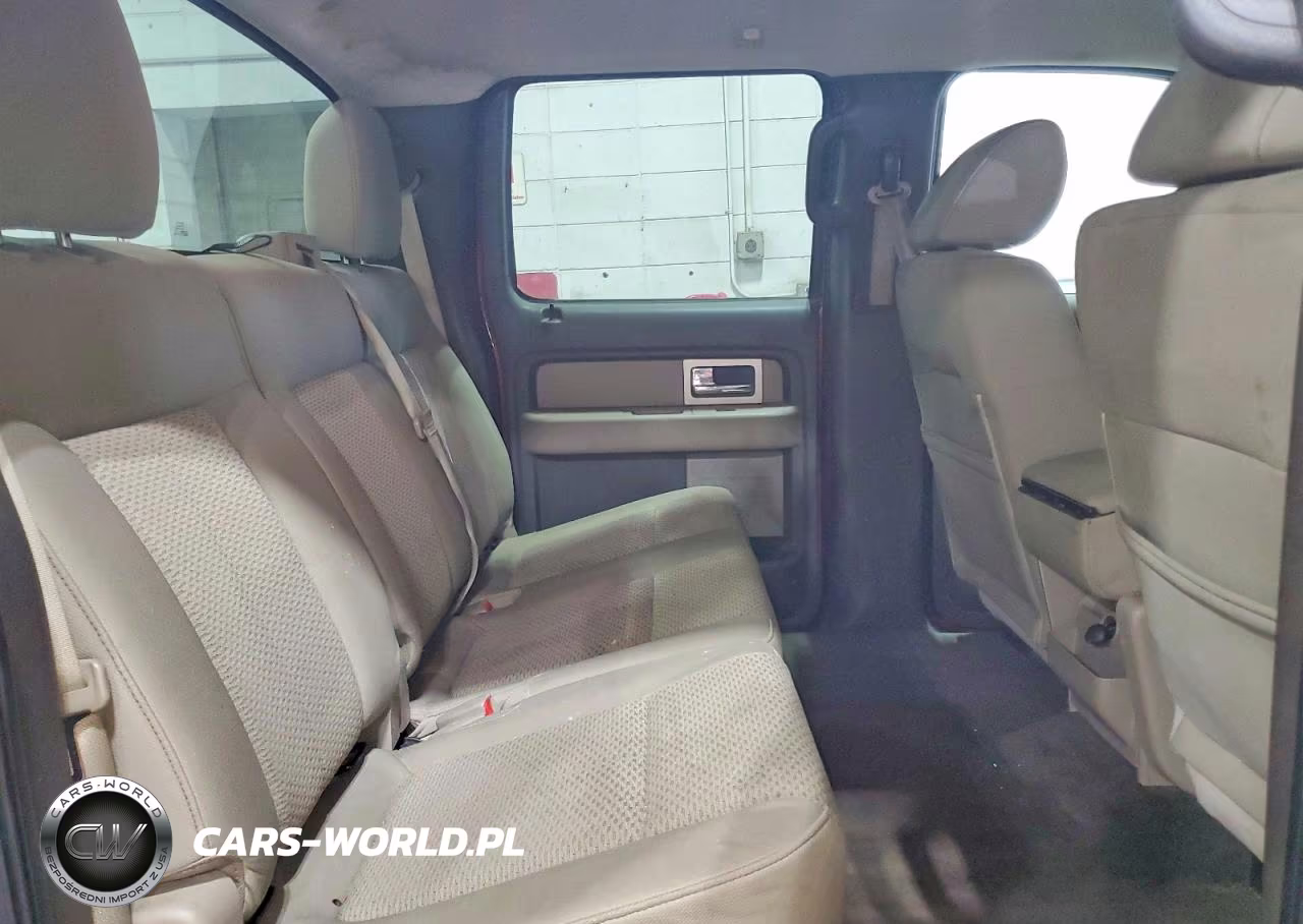 2010 Ford F150 Supercrew VIN:1FTFW1EV9AKA59282 - 10