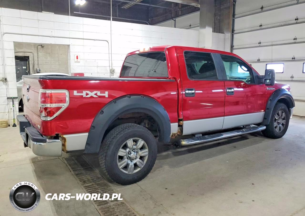 2010 Ford F150 Supercrew VIN:1FTFW1EV9AKA59282 - 3