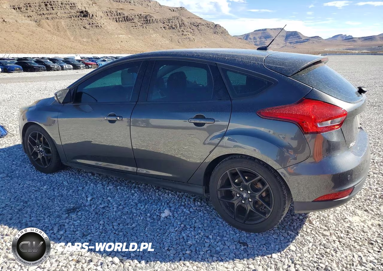 2016 Ford Focus Se VIN:1FADP3K21GL311755 - 2