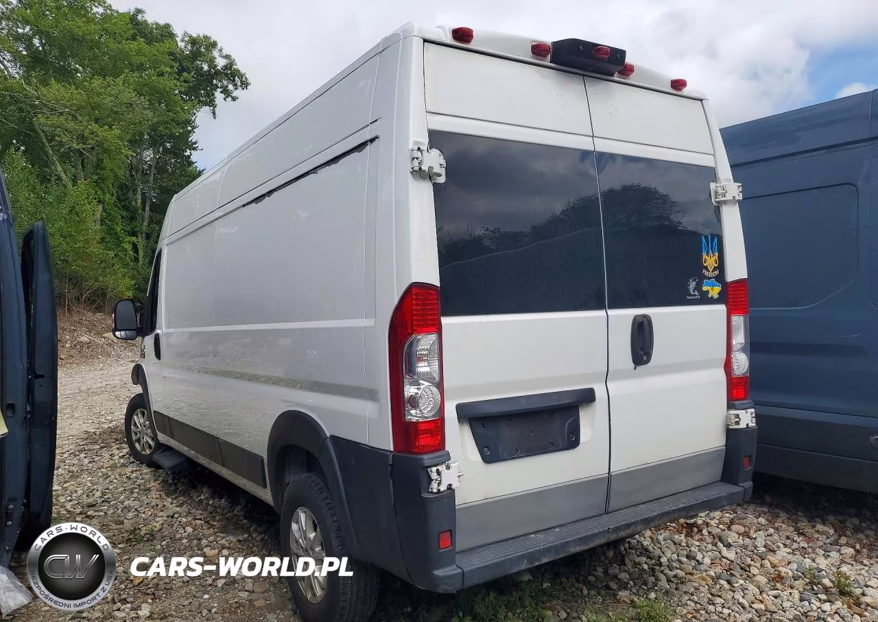 2019 Ram Promaster 2500 Delivery Van VIN:3C6TRVDG3KE559969 - 2