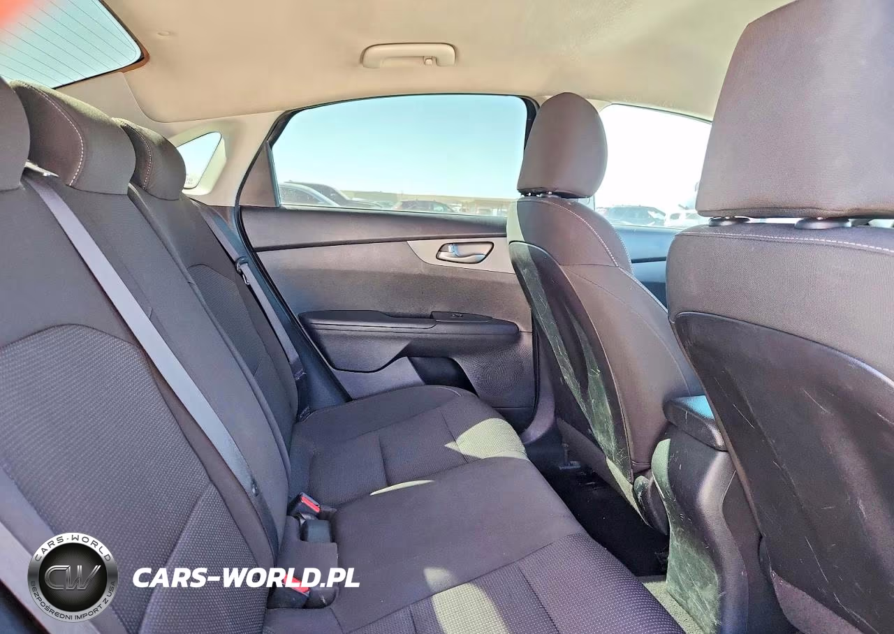 2020 Kia Forte Lxs VIN:3KPF24AD0LE204824 - 10