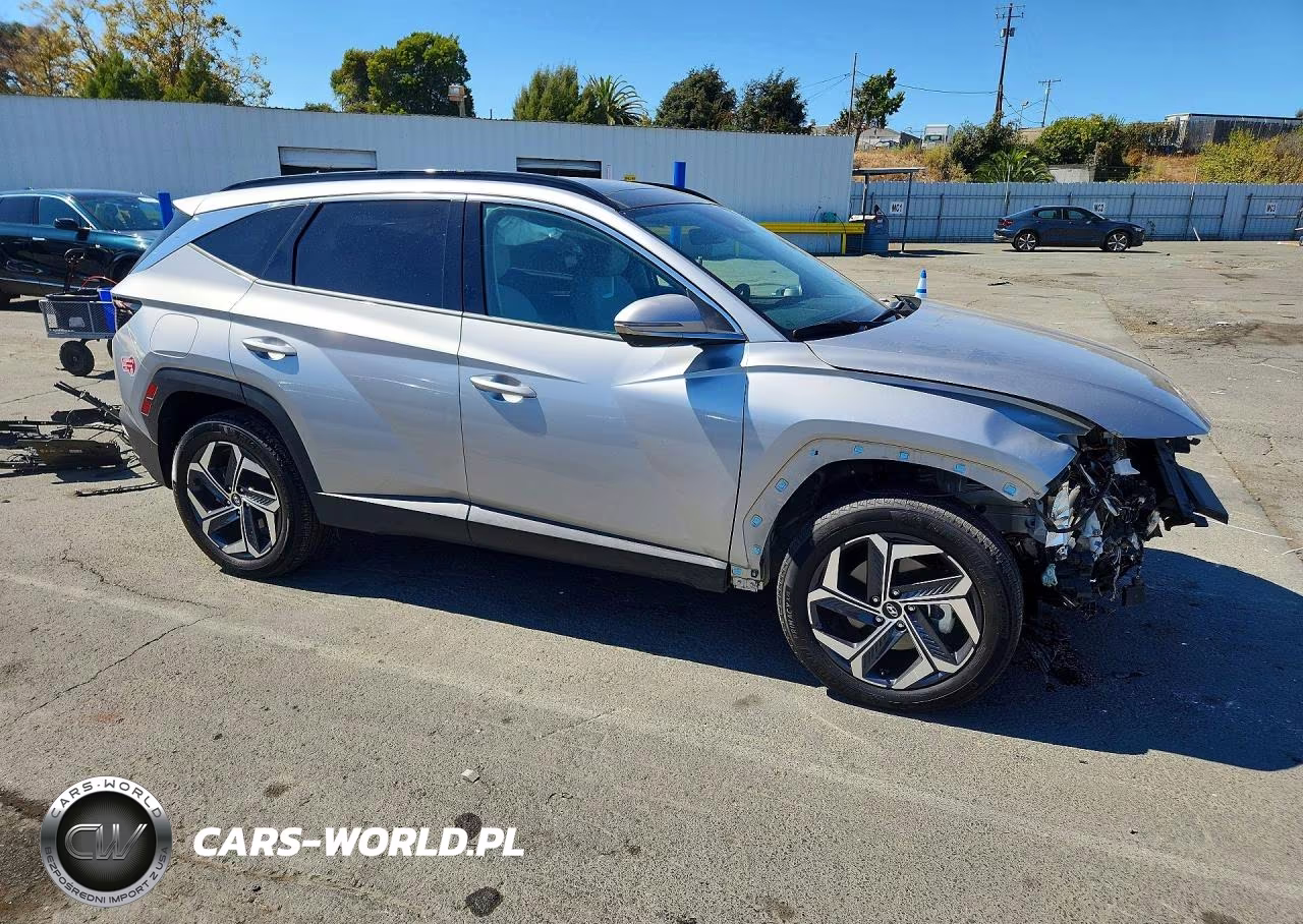 2024 Hyundai Tucson Limited VIN:KM8JFDD29RU163642 - 4