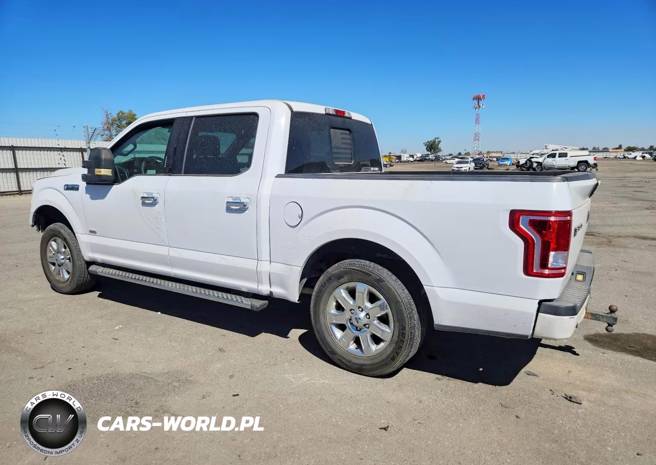2016 Ford F150 Supercrew VIN:1FTEW1CP2GKE96565 - 2