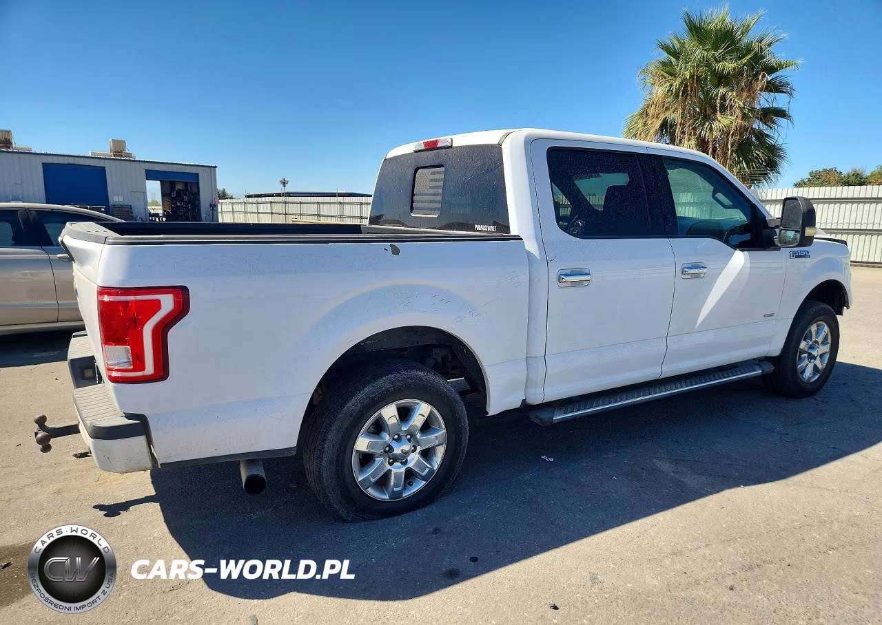 2016 Ford F150 Supercrew VIN:1FTEW1CP2GKE96565 - 3