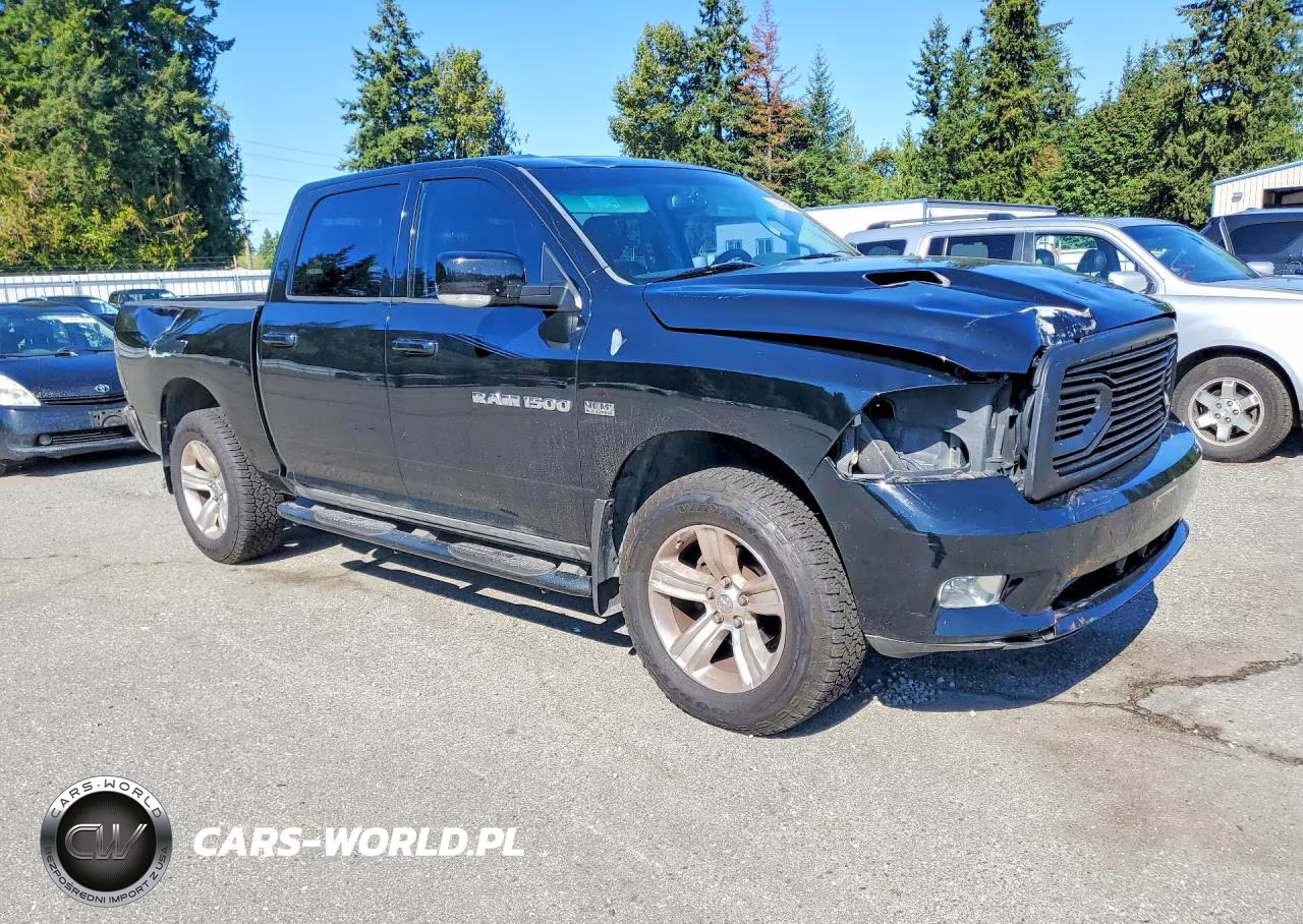 2012 Dodge Ram 1500 Sport VIN:1C6RD7MT2CS338329 - 4
