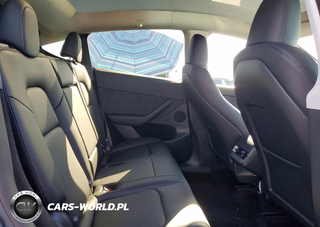 2025 Tesla Model Y VIN:7SAYGDED1SF304611 - 10