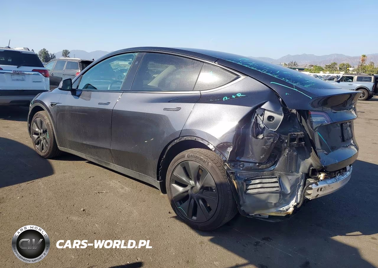 2025 Tesla Model Y VIN:7SAYGDED1SF304611 - 2