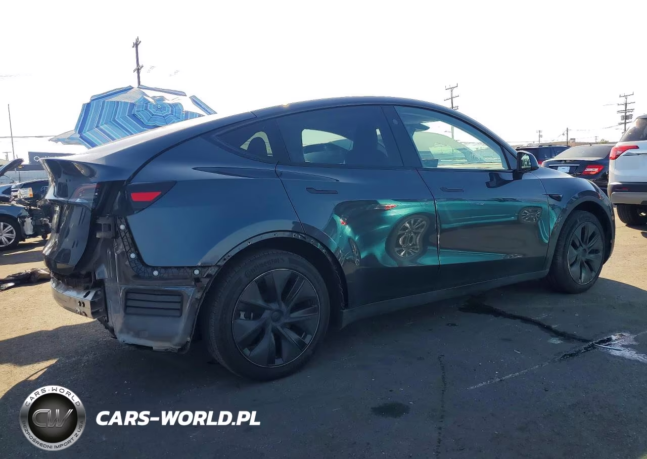 2025 Tesla Model Y VIN:7SAYGDED1SF304611 - 3