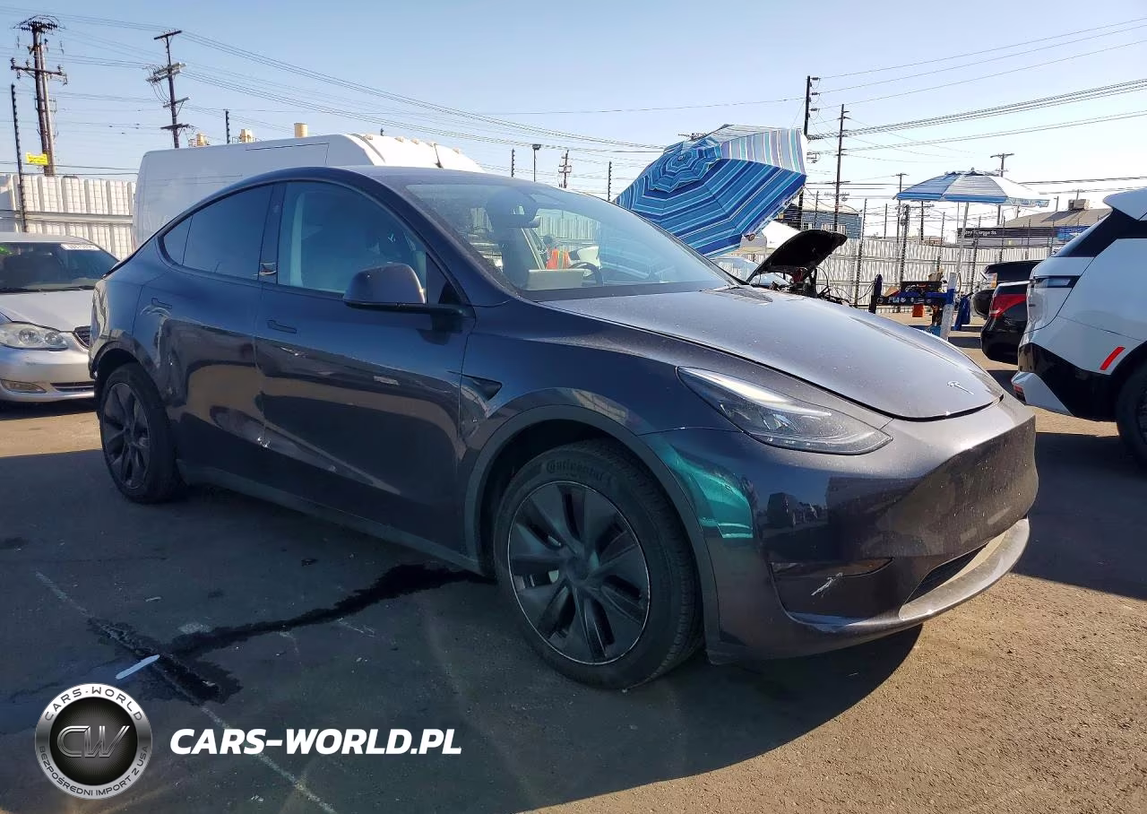 2025 Tesla Model Y VIN:7SAYGDED1SF304611 - 4