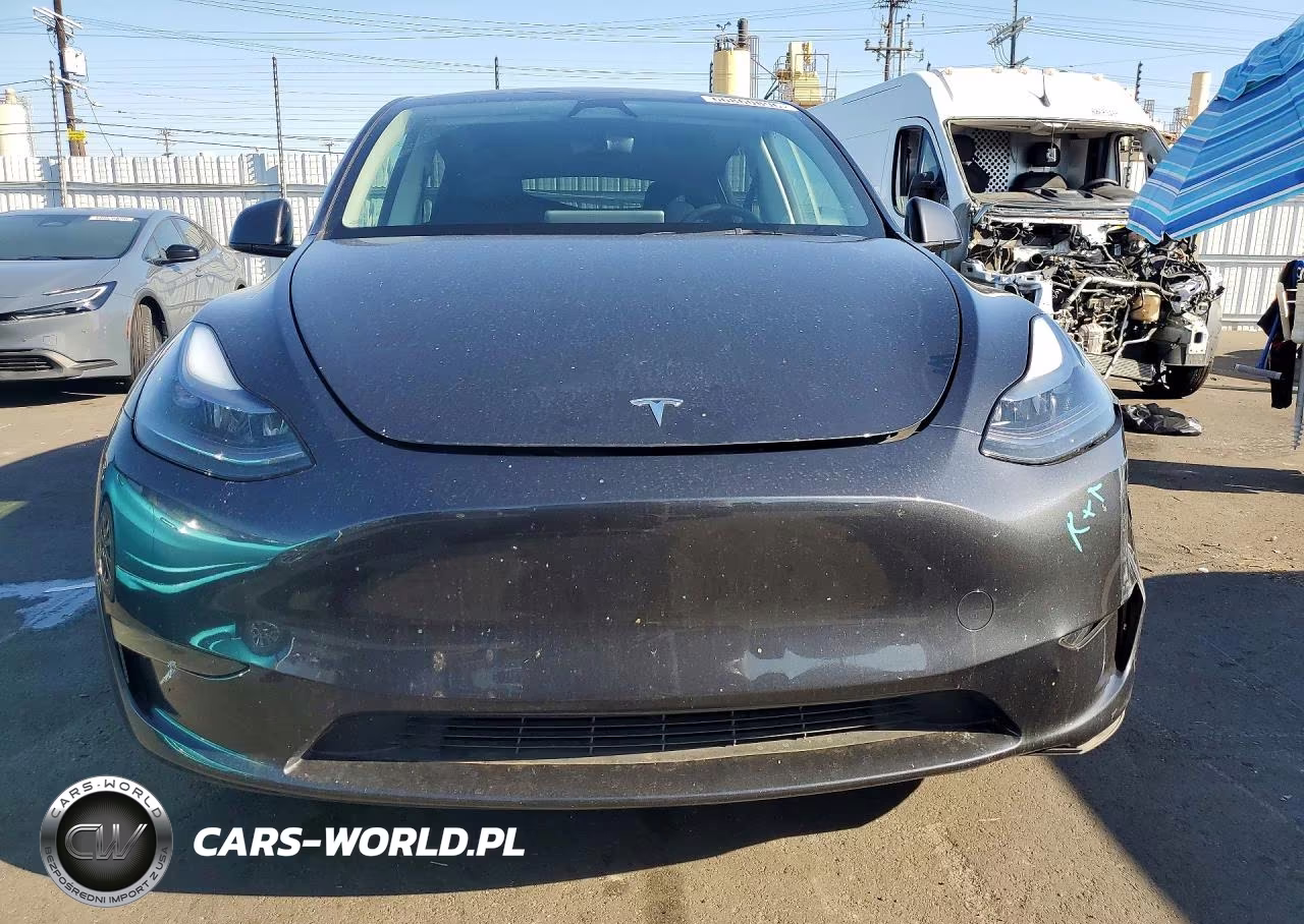 2025 Tesla Model Y VIN:7SAYGDED1SF304611 - 5