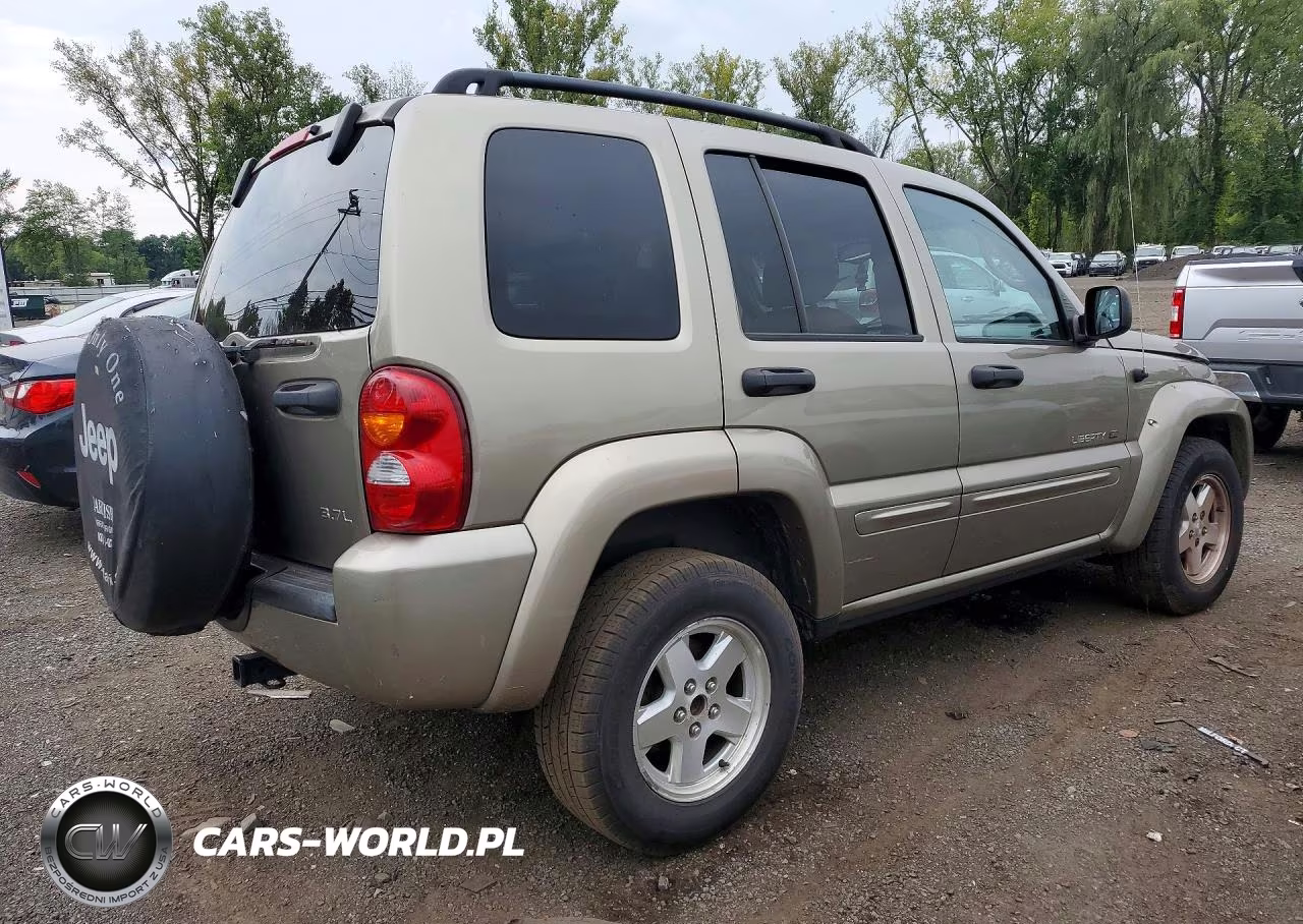 2003 Jeep Liberty Limited VIN:1J4GL58KX3W677707 - 3