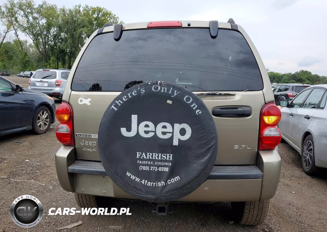 2003 Jeep Liberty Limited VIN:1J4GL58KX3W677707 - 6
