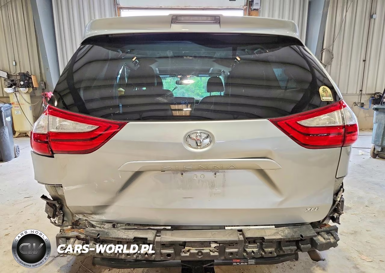 2019 Toyota Sienna Xle 8-Passenger VIN:5TDYZ3DC1KS996519 - 6