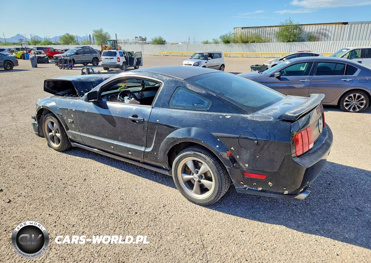 2006 Ford Mustang Gt VIN:1ZVHT82HX65203157 - 2