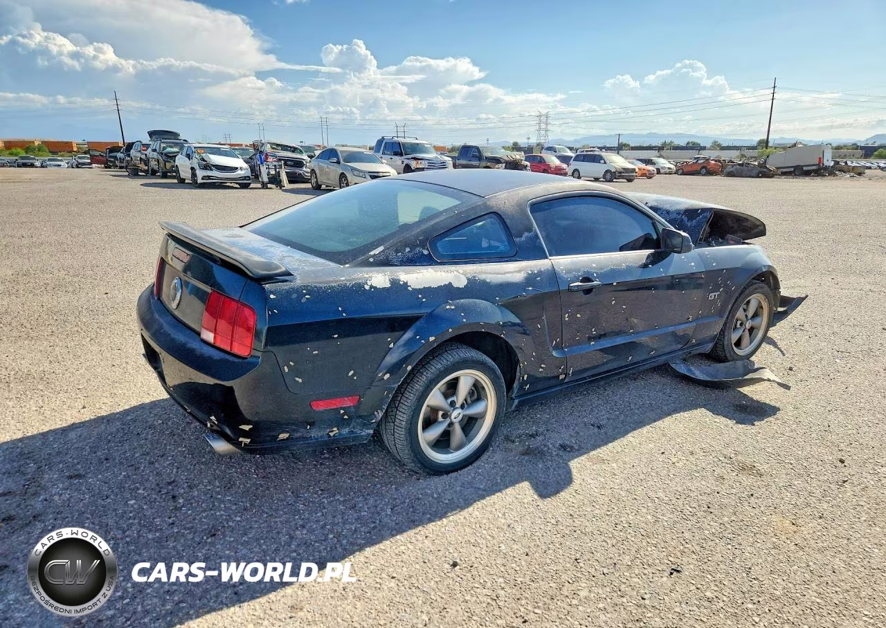 2006 Ford Mustang Gt VIN:1ZVHT82HX65203157 - 3