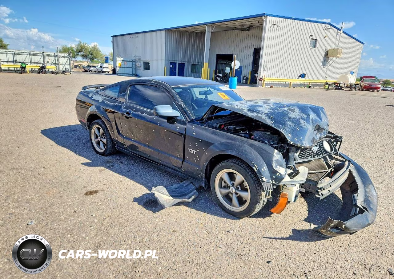 2006 Ford Mustang Gt VIN:1ZVHT82HX65203157 - 4