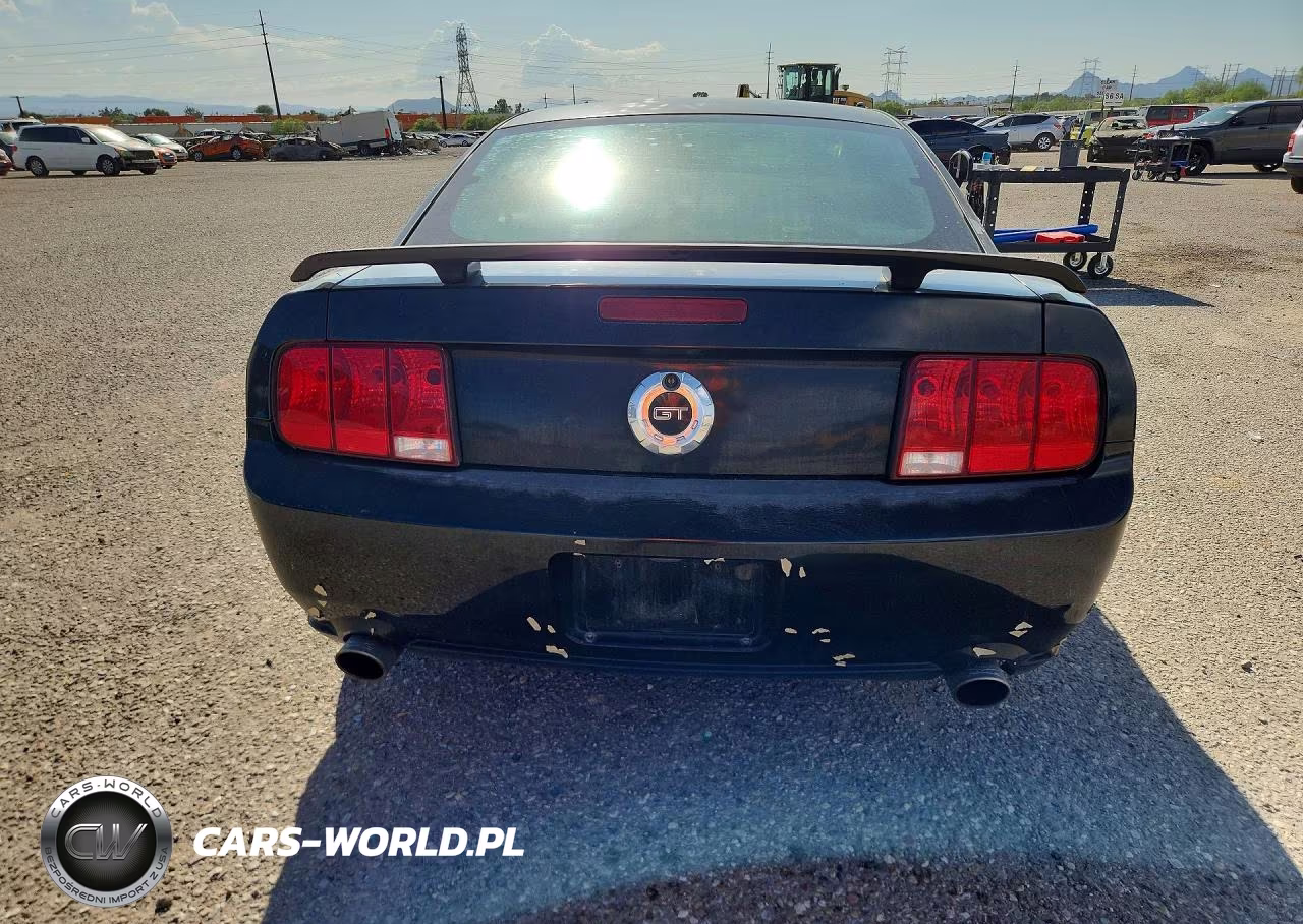 2006 Ford Mustang Gt VIN:1ZVHT82HX65203157 - 6