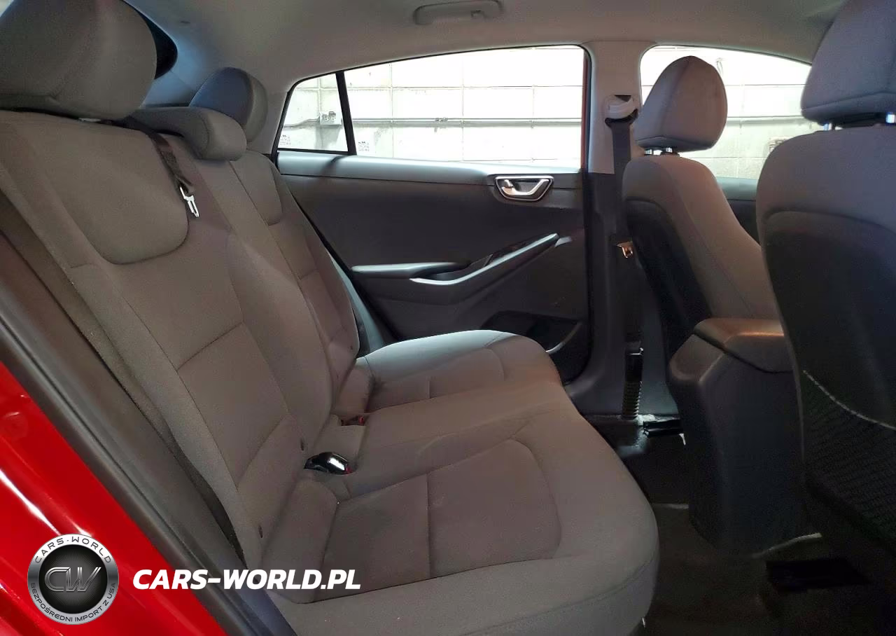 2020 Hyundai Ioniq Blue VIN:KMHC65LC4LU231278 - 10