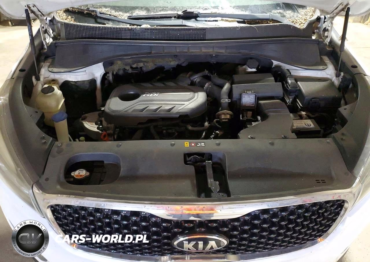 2017 Kia Sorento Ex VIN:5XYPH4A19HG250140 - 12