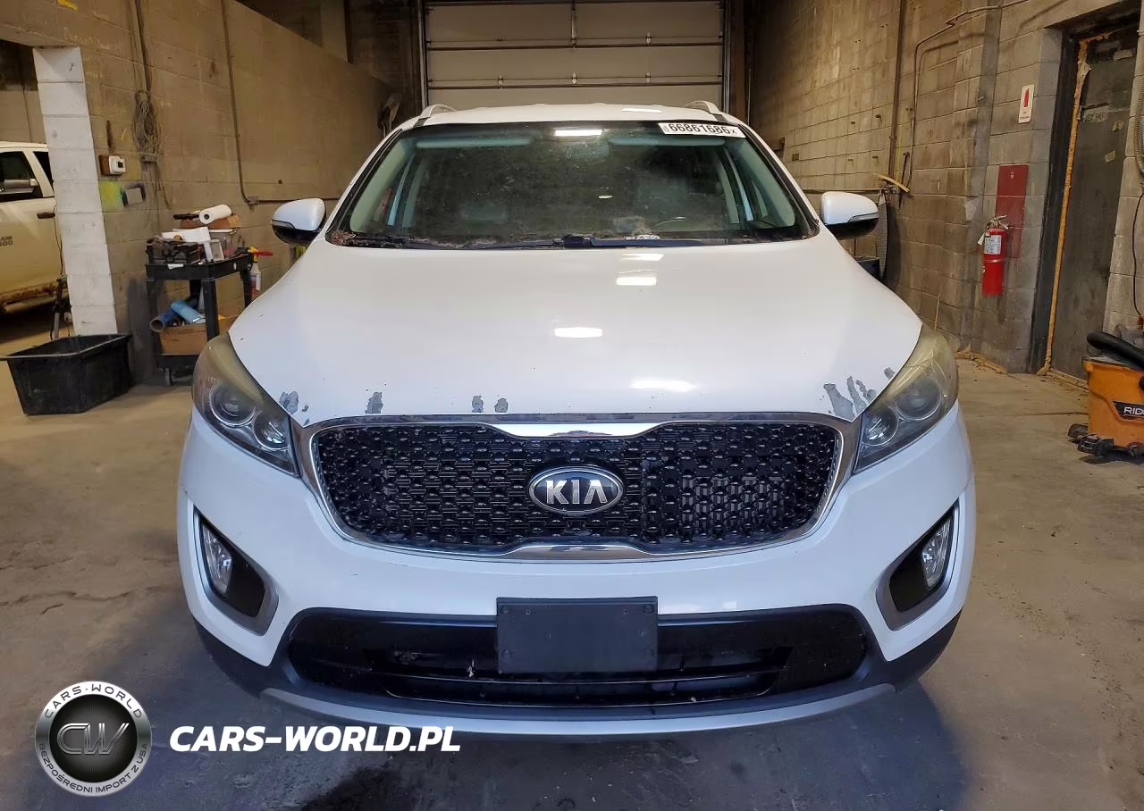 2017 Kia Sorento Ex VIN:5XYPH4A19HG250140 - 5