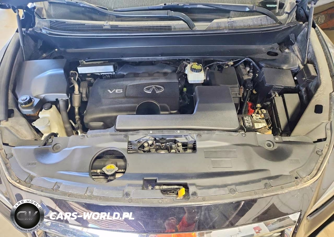 2019 Infiniti Qx60 Pure VIN:5N1DL0MM9KC510673 - 12