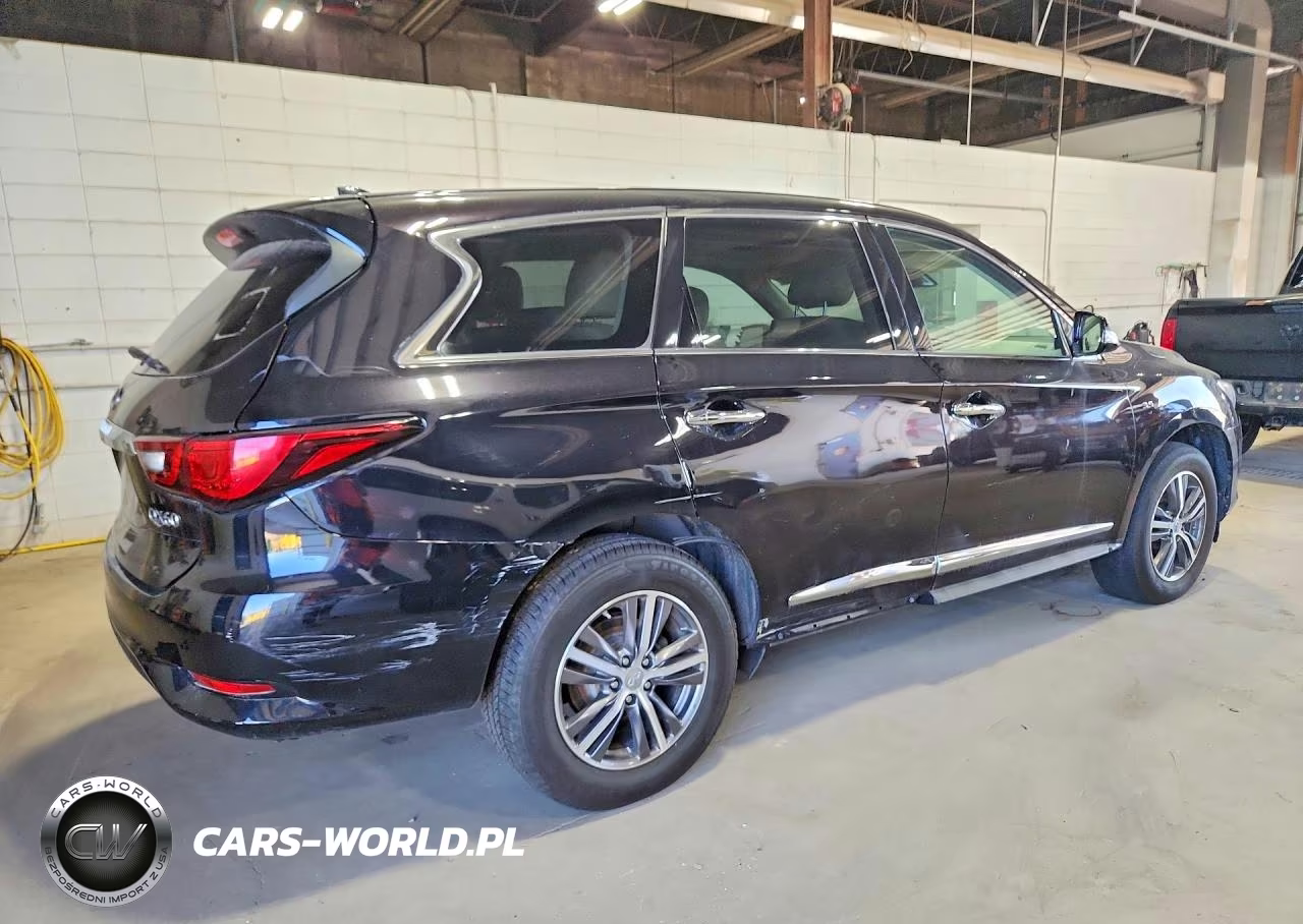 2019 Infiniti Qx60 Pure VIN:5N1DL0MM9KC510673 - 3