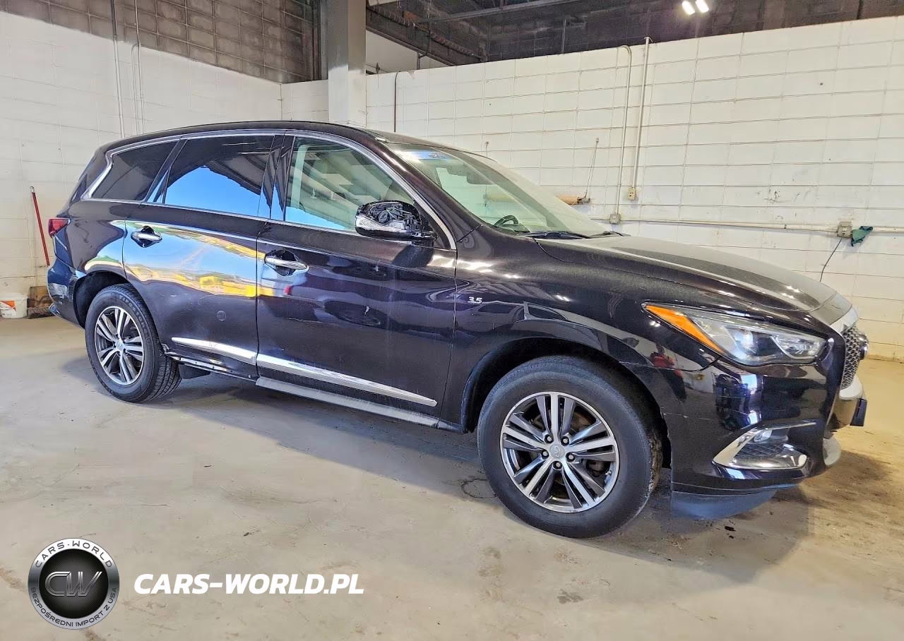 2019 Infiniti Qx60 Pure VIN:5N1DL0MM9KC510673 - 4
