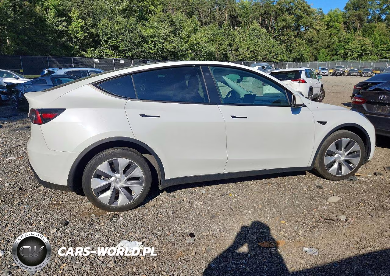 2023 Tesla Model Y VIN:7SAYGAEE5PF688696 - 3