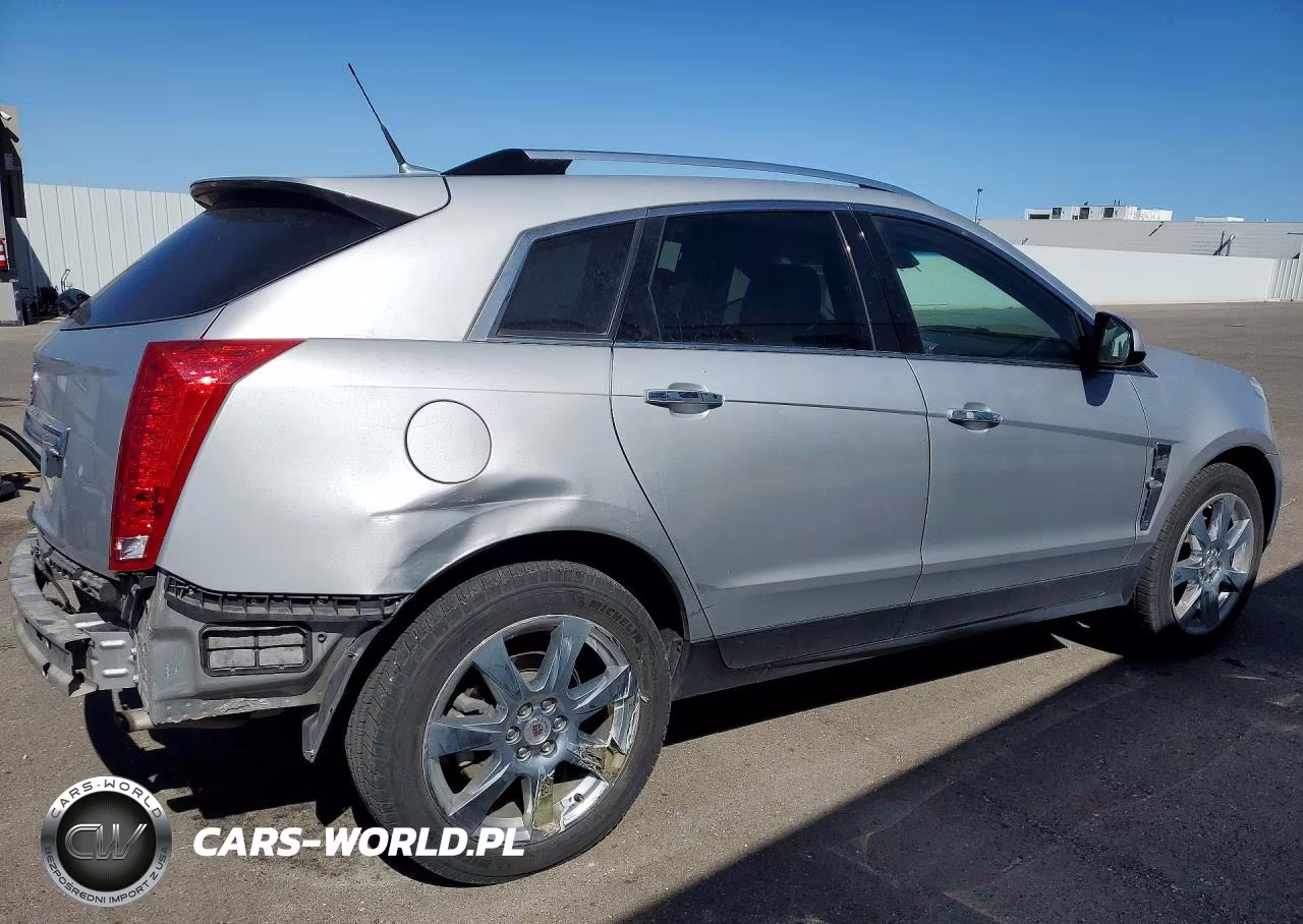 2010 Cadillac Srx Premium Collection VIN:3GYFNFEY8AS637333 - 3