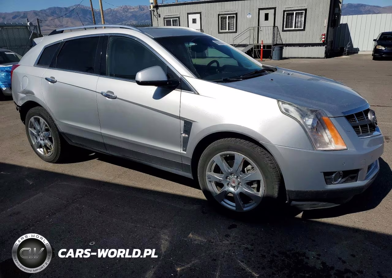 2010 Cadillac Srx Premium Collection VIN:3GYFNFEY8AS637333 - 4