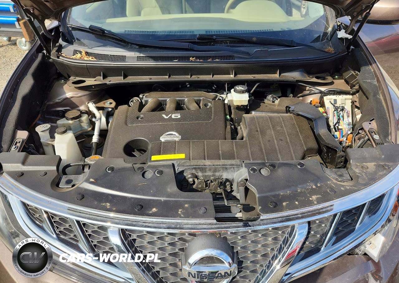 2014 Nissan Murano S VIN:JN8AZ1MWXEW503719 - 12