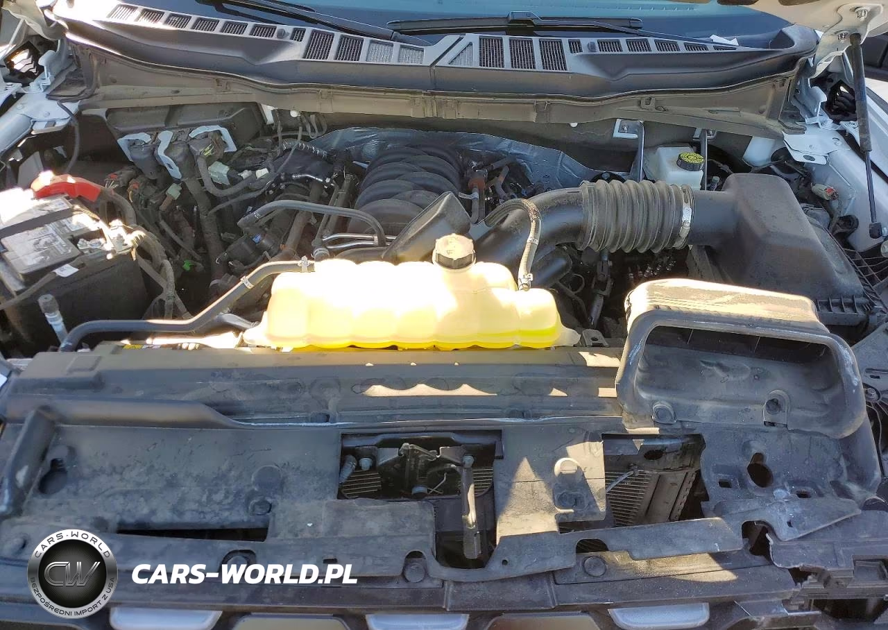 2026 Ford F150 Xl VIN:1FTMF1L59TKE26615 - 11