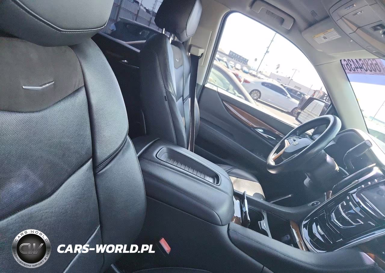 2020 Cadillac Escalade Esv VIN:1GYS3GKJ7LR202634 - 10
