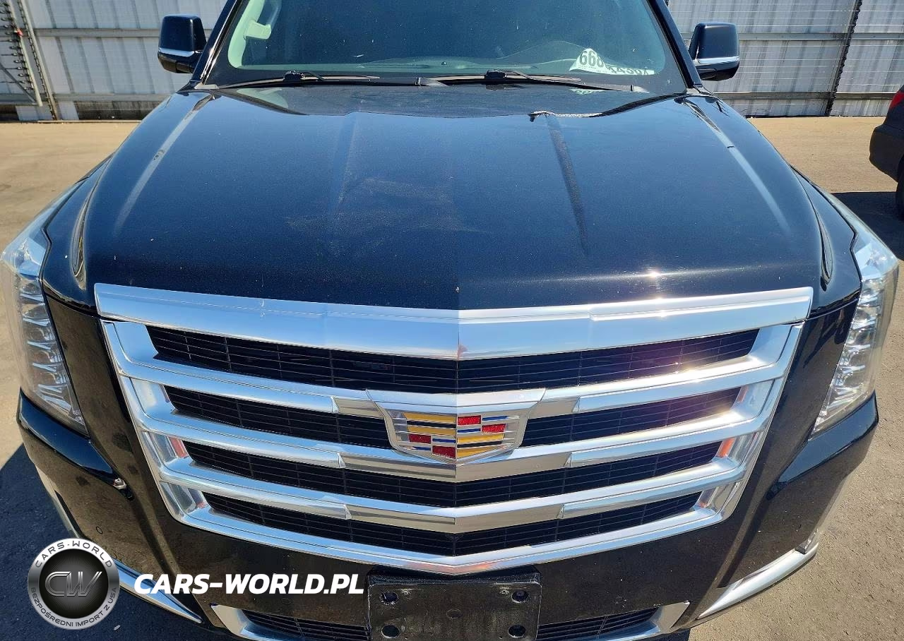 2020 Cadillac Escalade Esv VIN:1GYS3GKJ7LR202634 - 12