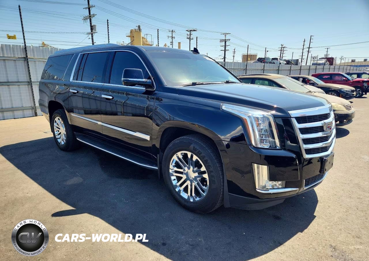 2020 Cadillac Escalade Esv VIN:1GYS3GKJ7LR202634 - 4