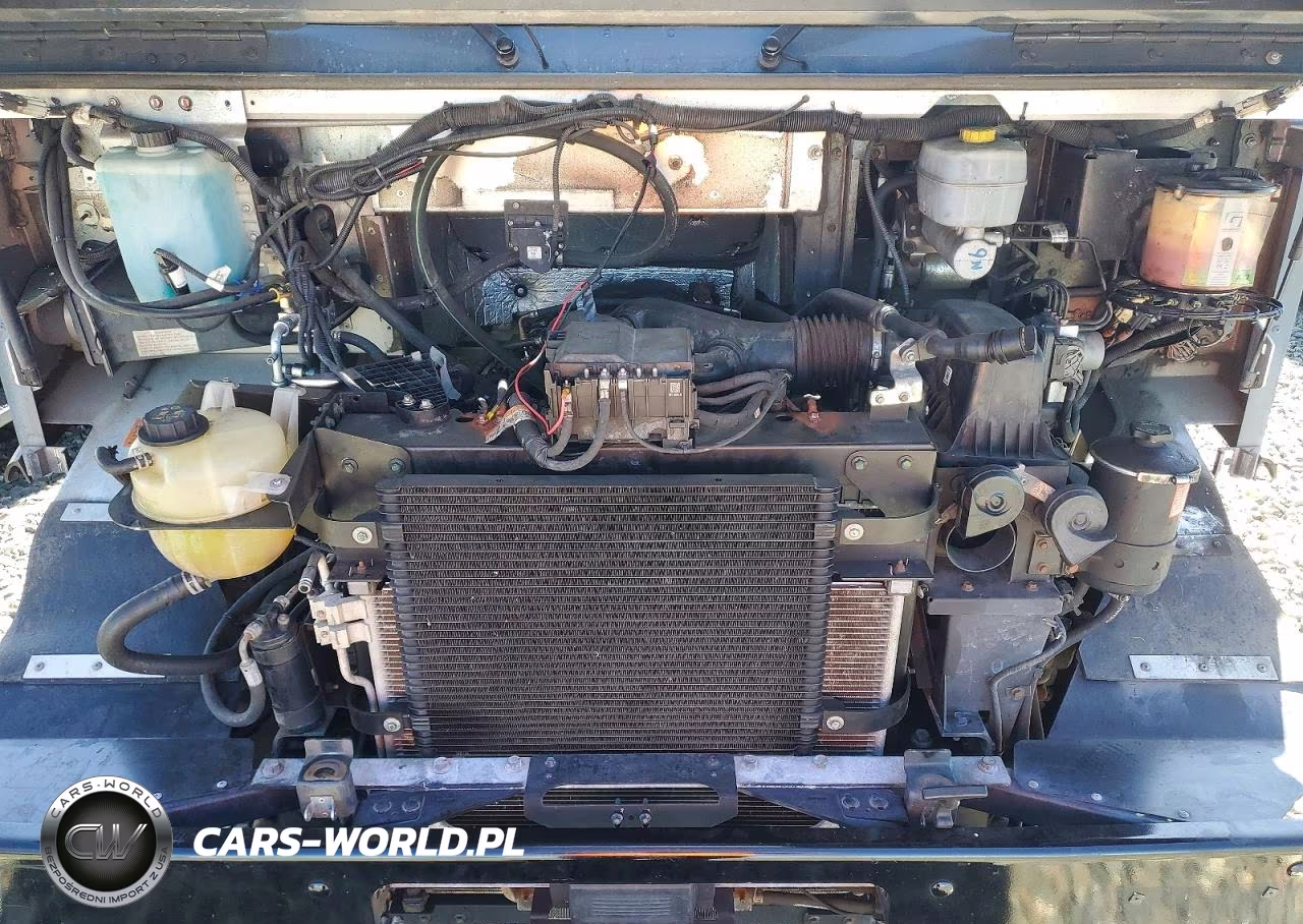 2020 Ford F59 Delivery Truck VIN:1F65F5KN6L0A11621 - 12