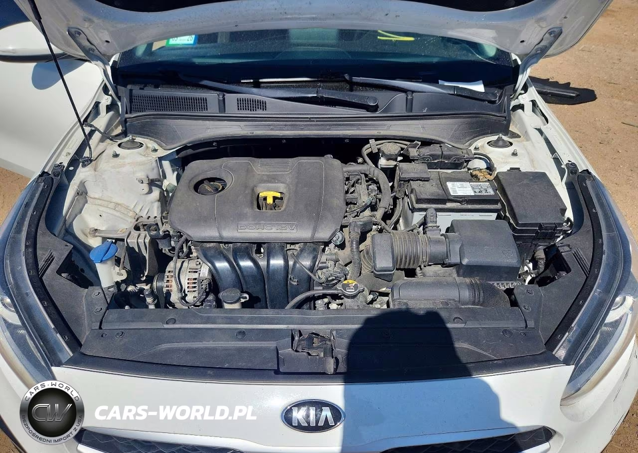 2021 Kia Forte Fe VIN:3KPF24AD3ME314882 - 11