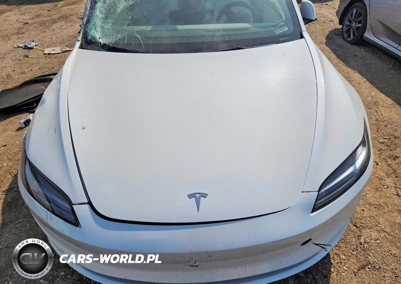 2025 Tesla Model 3 VIN:5YJ3E1EA9SF916993 - 11
