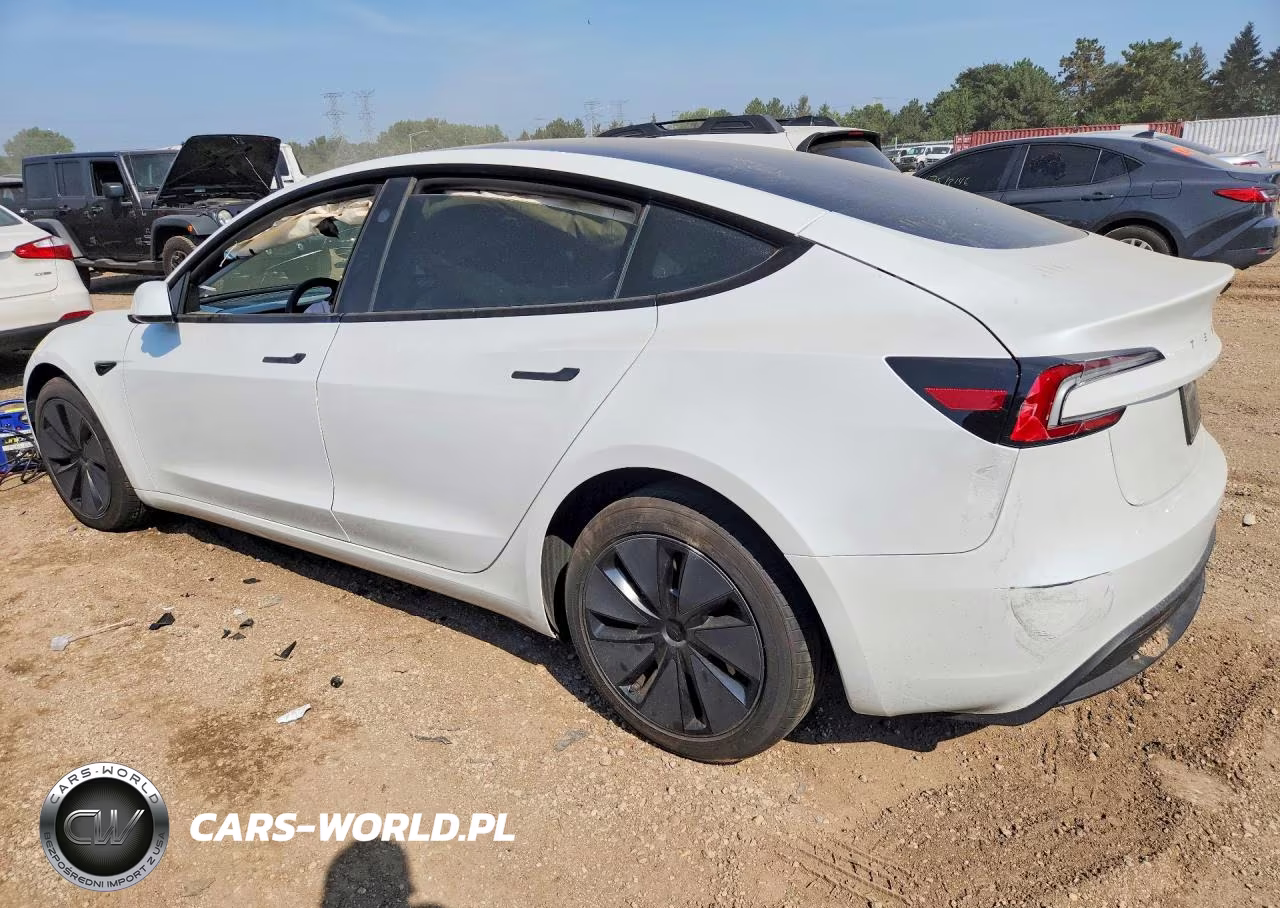 2025 Tesla Model 3 VIN:5YJ3E1EA9SF916993 - 2