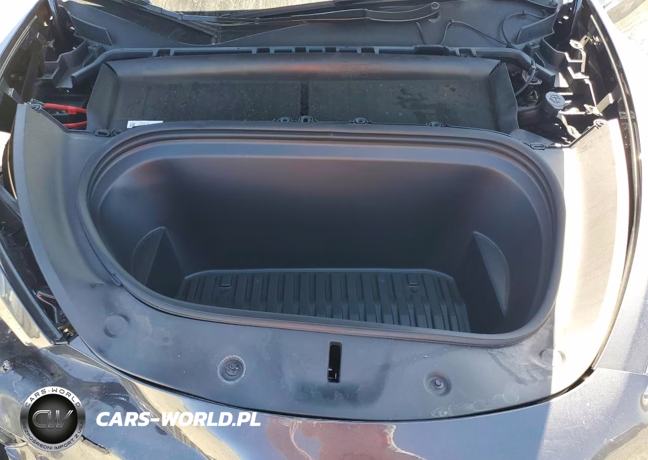 2024 Tesla Model Y VIN:7SAYGDEE1RA229893 - 11