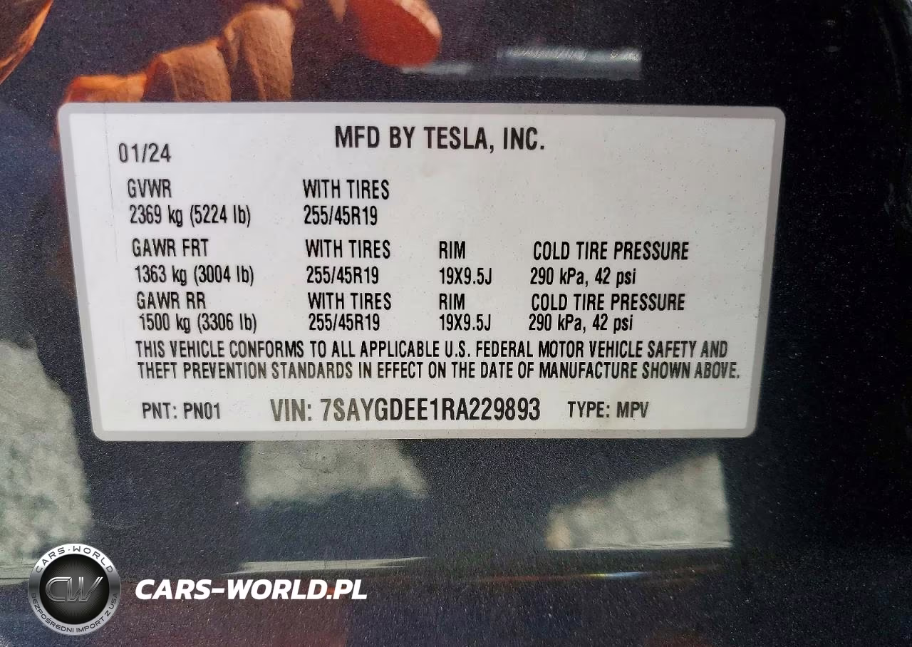 2024 Tesla Model Y VIN:7SAYGDEE1RA229893 - 12