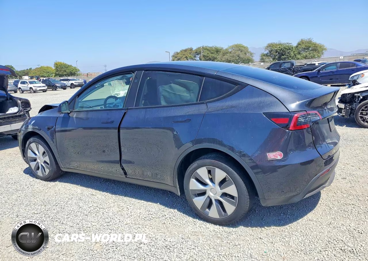 2024 Tesla Model Y VIN:7SAYGDEE1RA229893 - 2