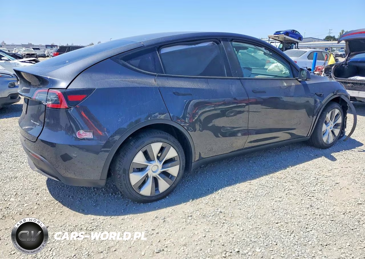 2024 Tesla Model Y VIN:7SAYGDEE1RA229893 - 3
