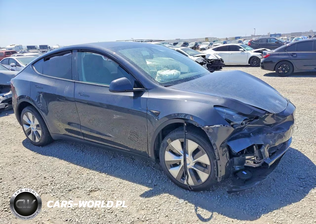 2024 Tesla Model Y VIN:7SAYGDEE1RA229893 - 4