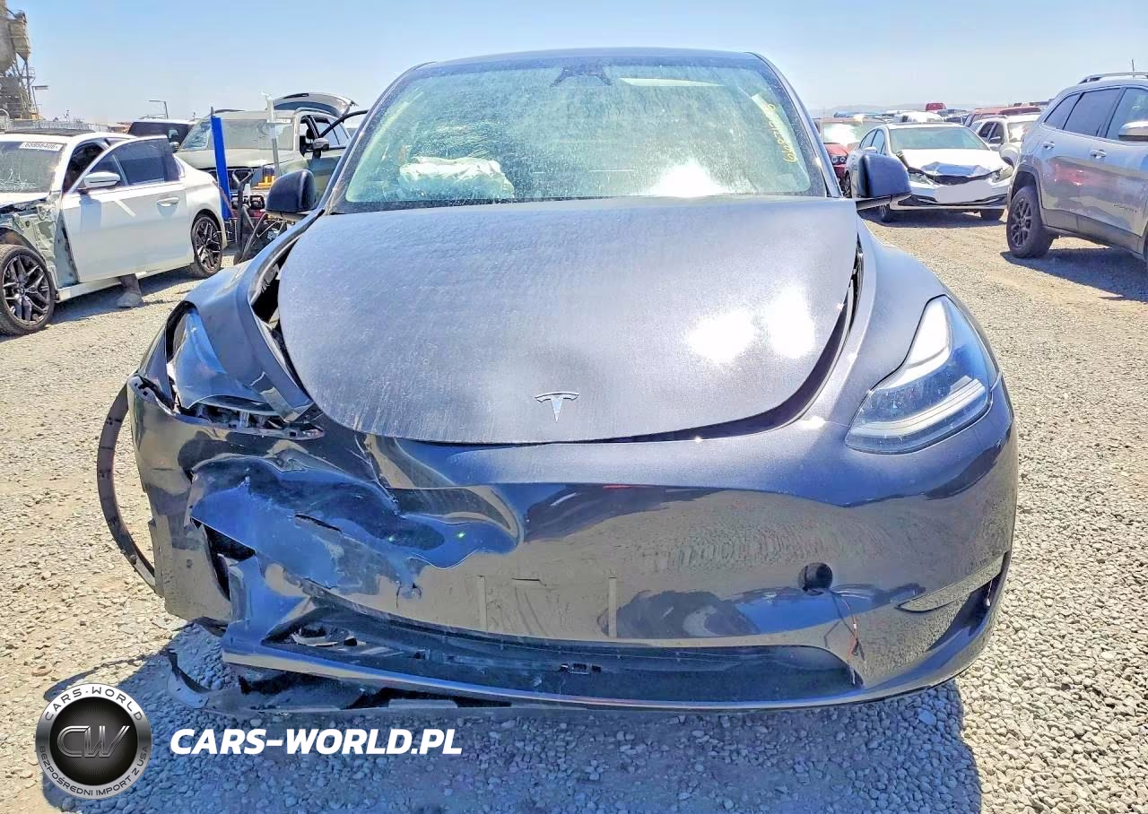 2024 Tesla Model Y VIN:7SAYGDEE1RA229893 - 5